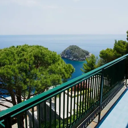 Acqua Brillante Citra 009010-lt-0102 *